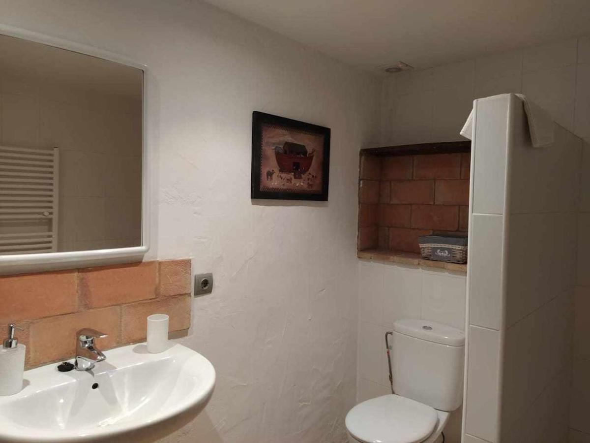 Mas Planella Casa Rural Mieres  エクステリア 写真
